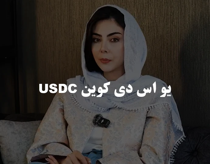 یو اس دی کوین USDC